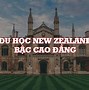 Đại Học Y Ở New Zealand Là Ai Ạ