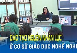 Luật Giáo Dục Nghề Nghiệp Năm 2024