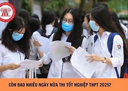 Thi Tốt Nghiệp 2025 Bao Nhiêu Điểm Là Đậu