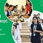 Yêu Cầu Của Giảng Viên Đại Học